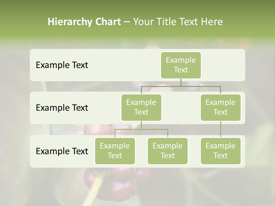 Coffee Bean Red PowerPoint Template
