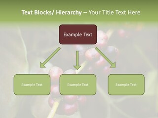 Coffee Bean Red PowerPoint Template