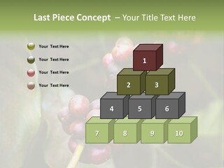 Coffee Bean Red PowerPoint Template