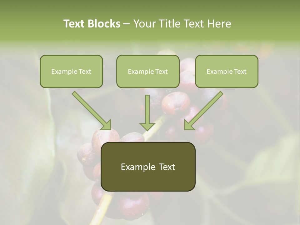 Coffee Bean Red PowerPoint Template