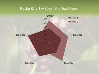 Coffee Bean Red PowerPoint Template