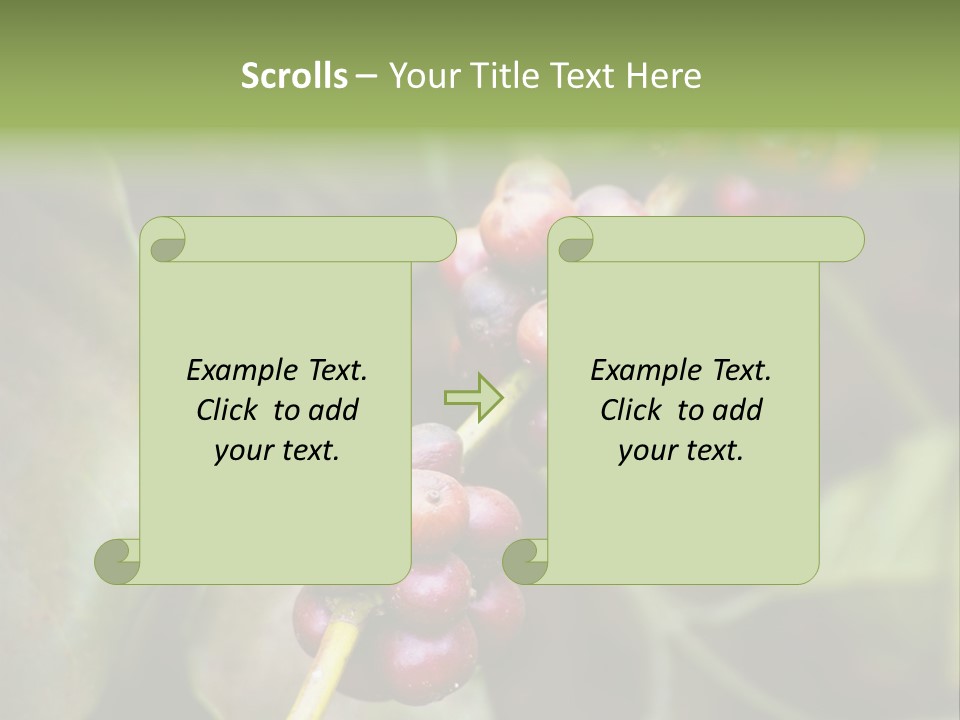 Coffee Bean Red PowerPoint Template