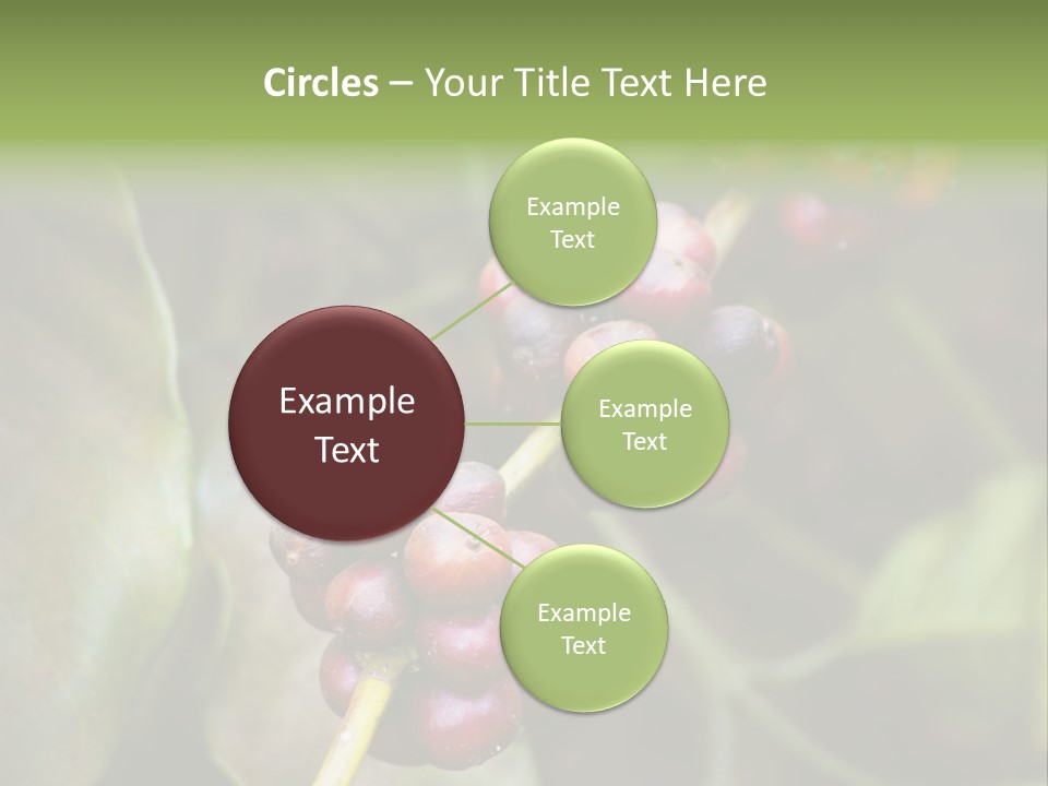 Coffee Bean Red PowerPoint Template