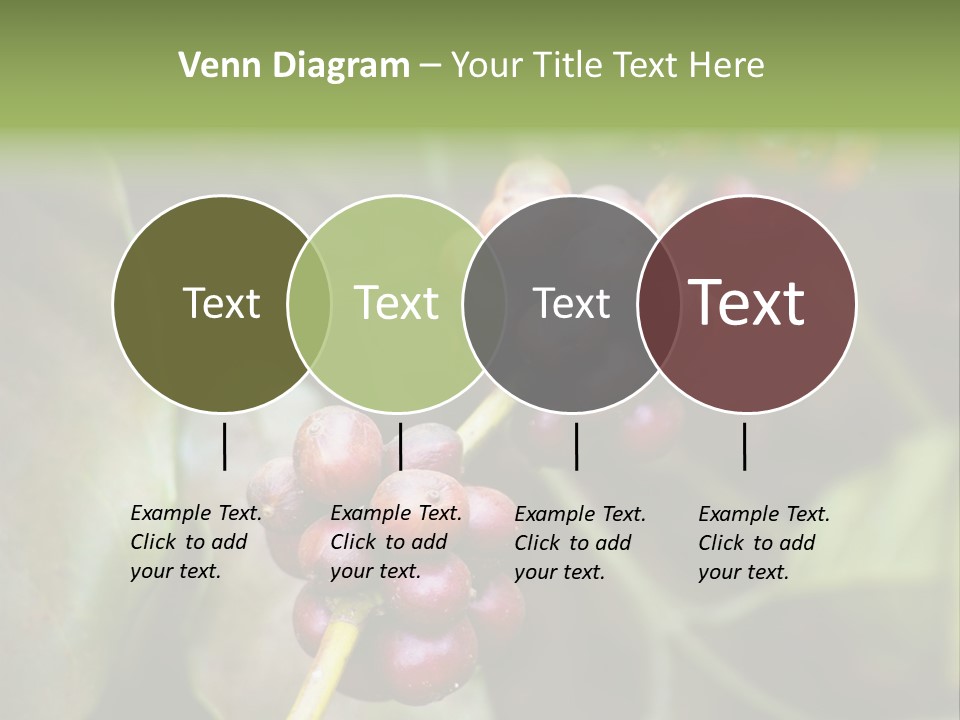 Coffee Bean Red PowerPoint Template