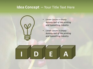 Coffee Bean Red PowerPoint Template