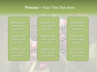 Coffee Bean Red PowerPoint Template