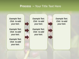 Coffee Bean Red PowerPoint Template