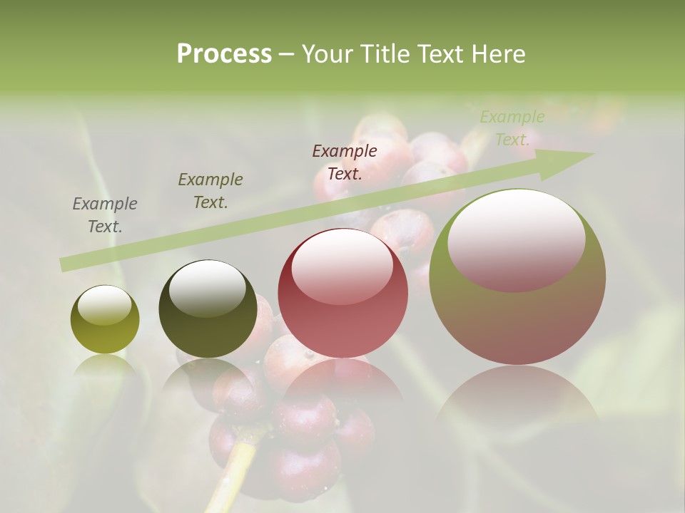 Coffee Bean Red PowerPoint Template