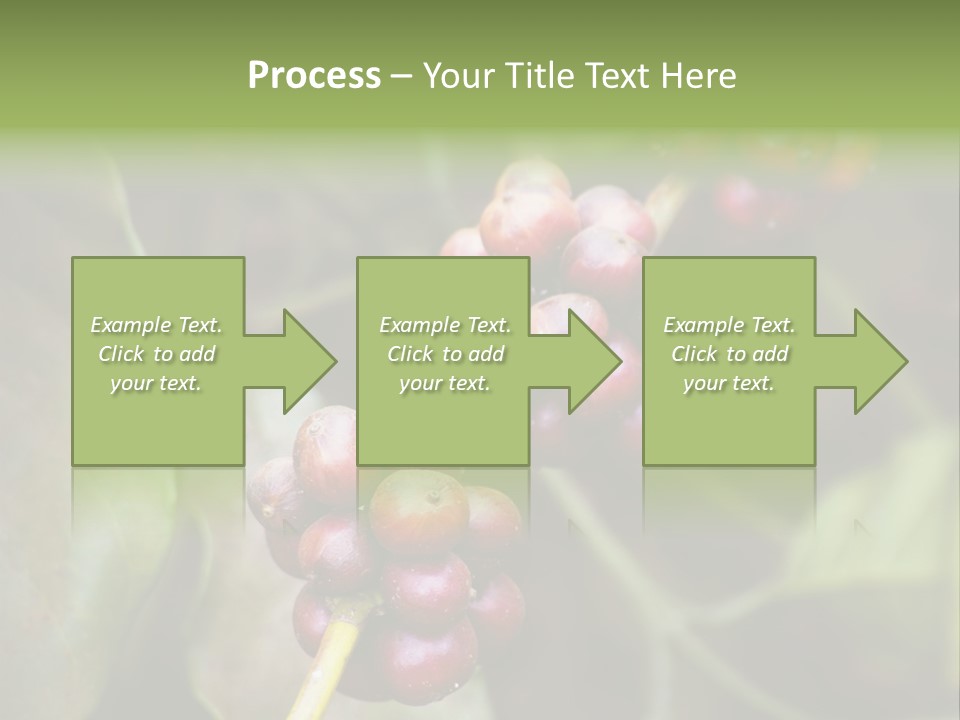 Coffee Bean Red PowerPoint Template