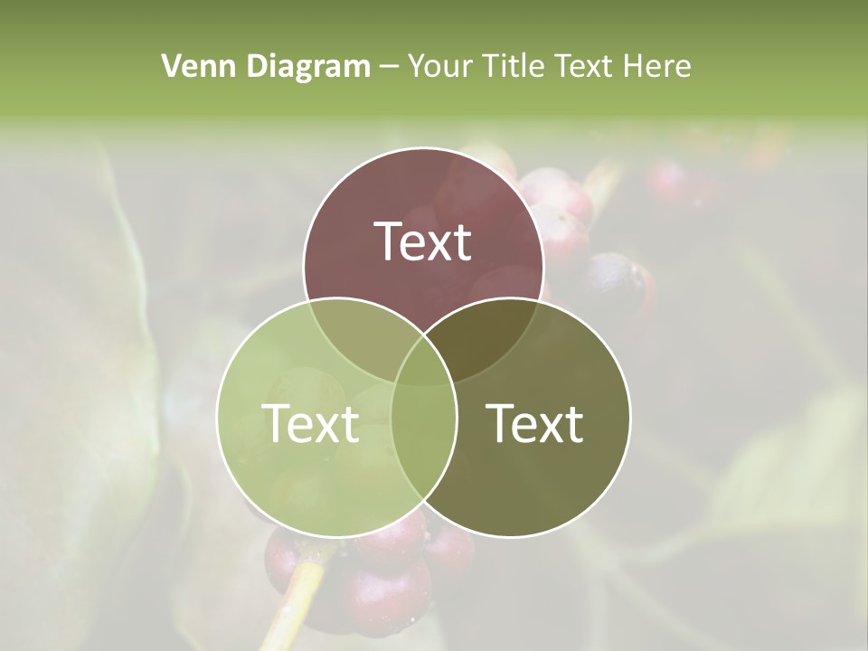 Coffee Bean Red PowerPoint Template