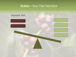 Coffee Bean Red PowerPoint Template