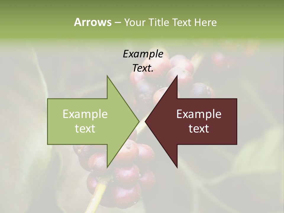 Coffee Bean Red PowerPoint Template