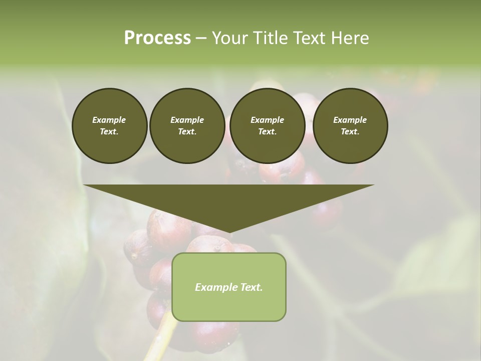 Coffee Bean Red PowerPoint Template