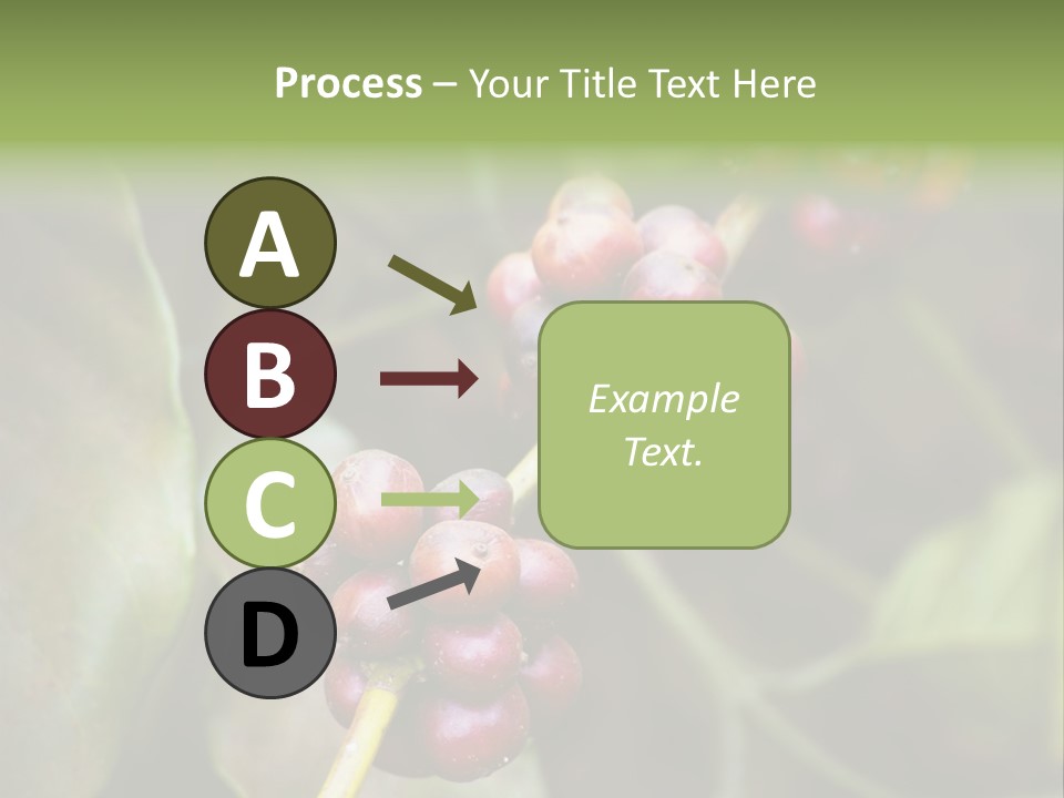 Coffee Bean Red PowerPoint Template