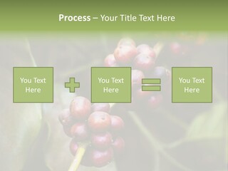 Coffee Bean Red PowerPoint Template