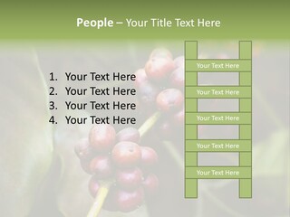 Coffee Bean Red PowerPoint Template