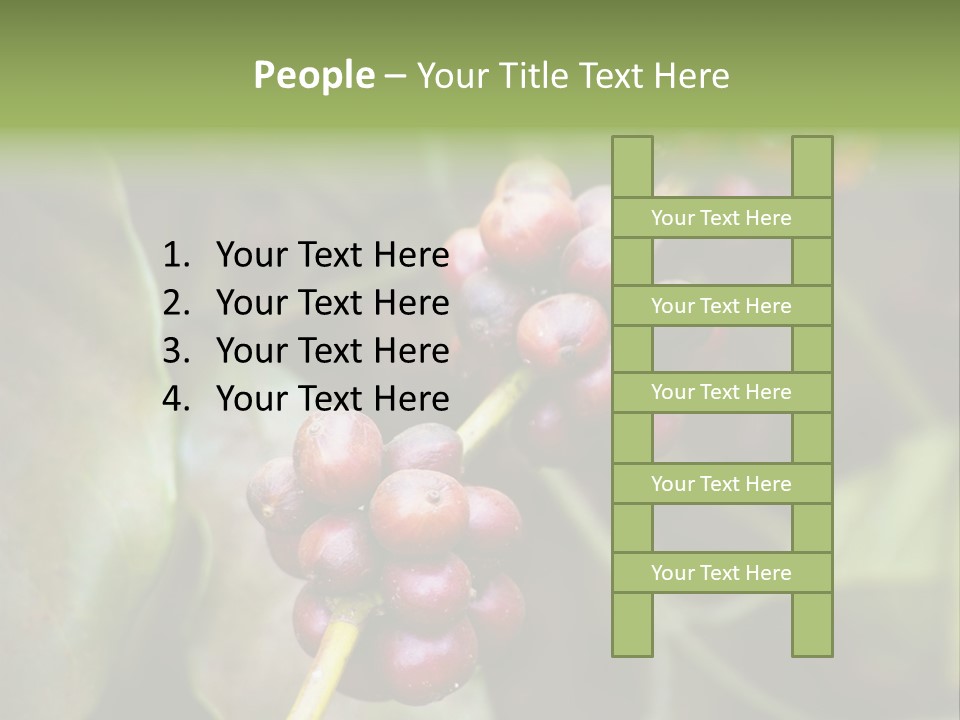 Coffee Bean Red PowerPoint Template