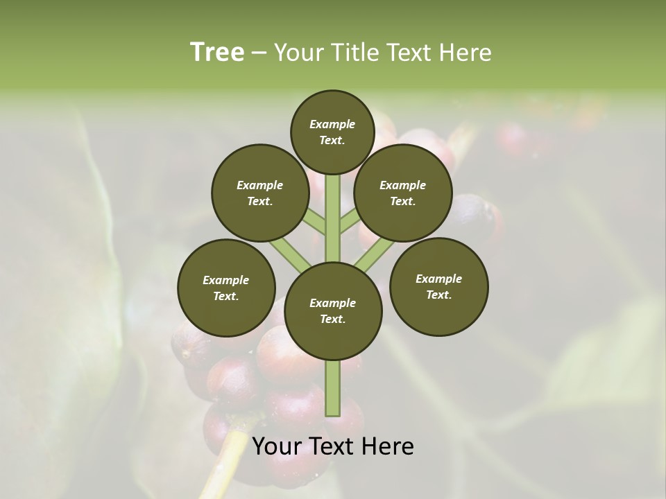 Coffee Bean Red PowerPoint Template