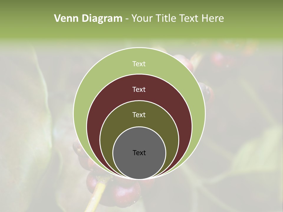 Coffee Bean Red PowerPoint Template