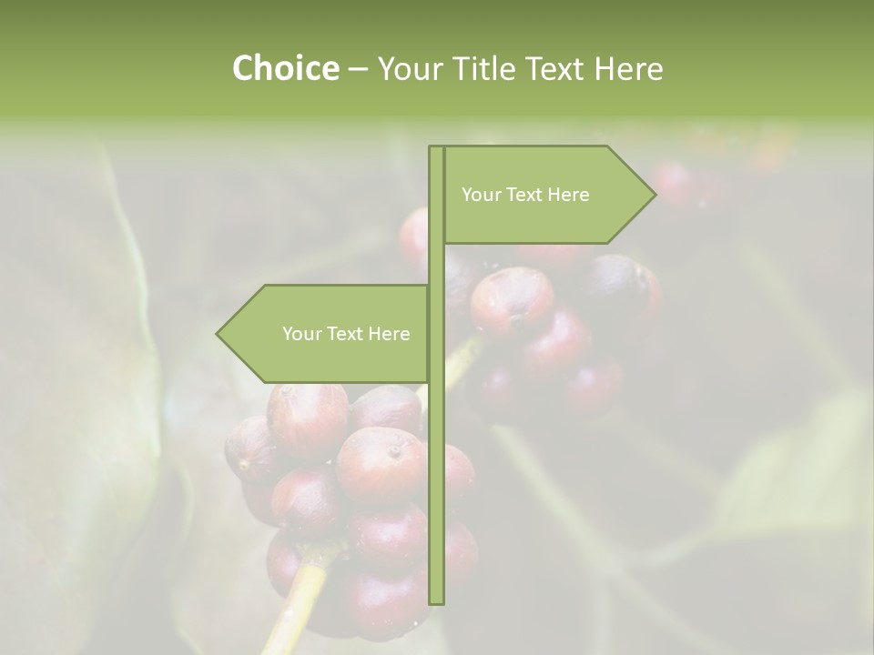 Coffee Bean Red PowerPoint Template