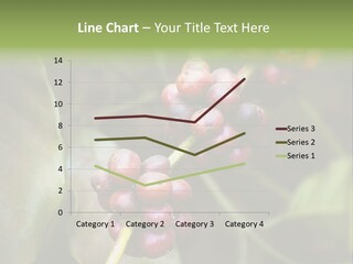 Coffee Bean Red PowerPoint Template