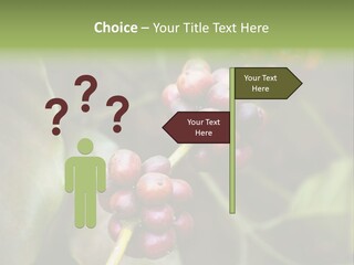 Coffee Bean Red PowerPoint Template