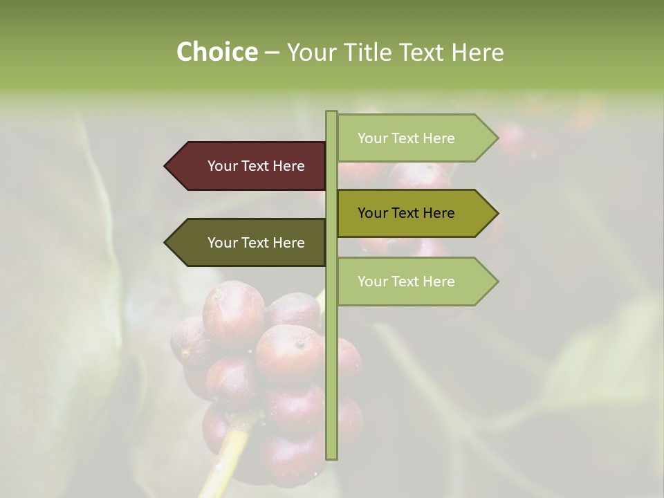 Coffee Bean Red PowerPoint Template