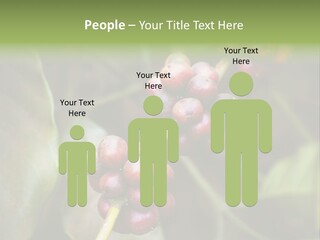 Coffee Bean Red PowerPoint Template