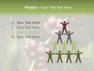 Coffee Bean Red PowerPoint Template