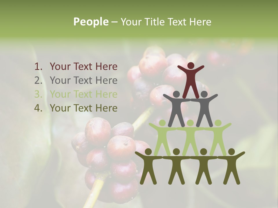 Coffee Bean Red PowerPoint Template