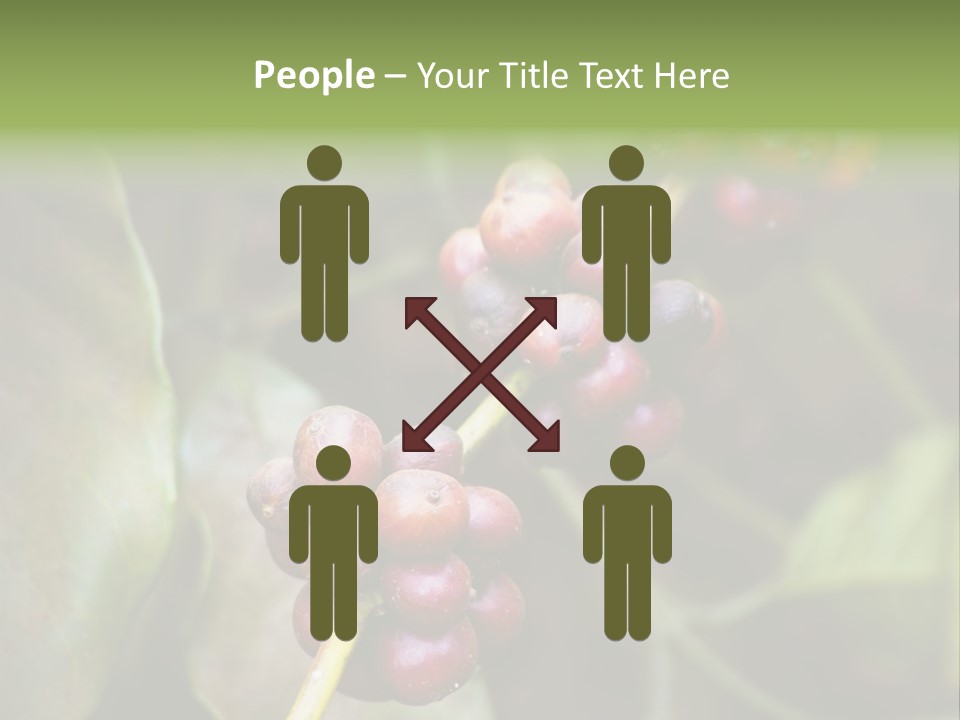 Coffee Bean Red PowerPoint Template