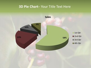 Coffee Bean Red PowerPoint Template