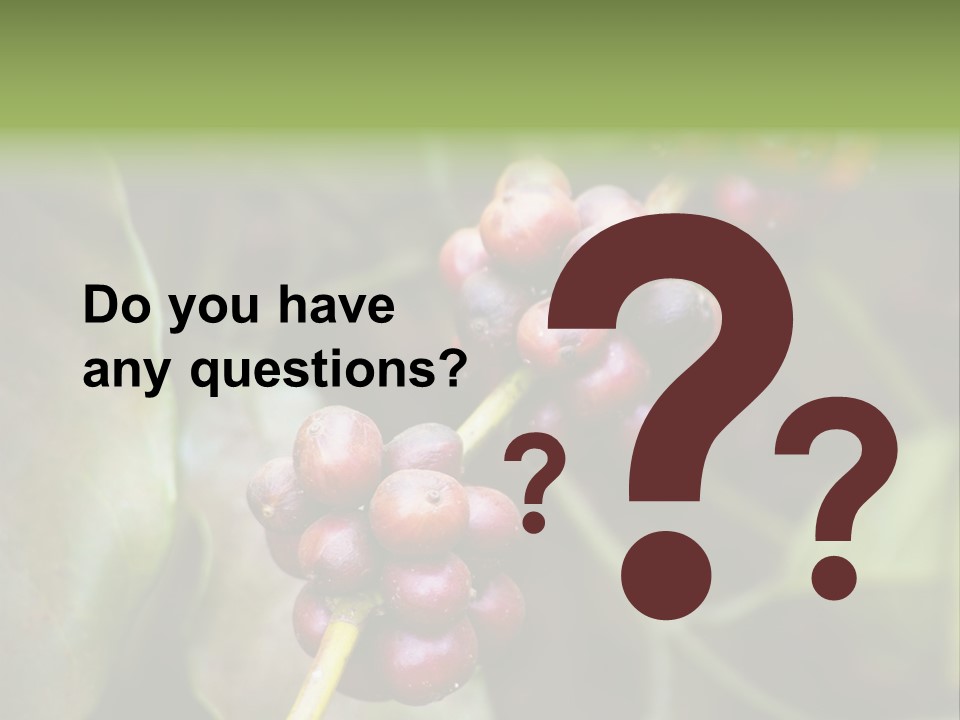 Coffee Bean Red PowerPoint Template