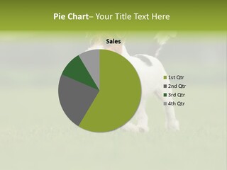 Grass Purebred Garden PowerPoint Template