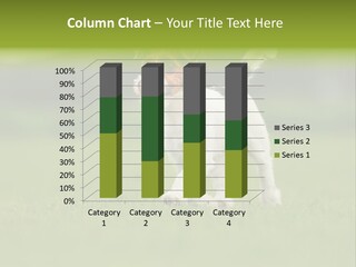 Grass Purebred Garden PowerPoint Template