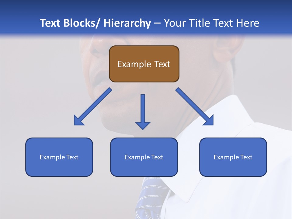 Primary Africanamerican Democratic PowerPoint Template