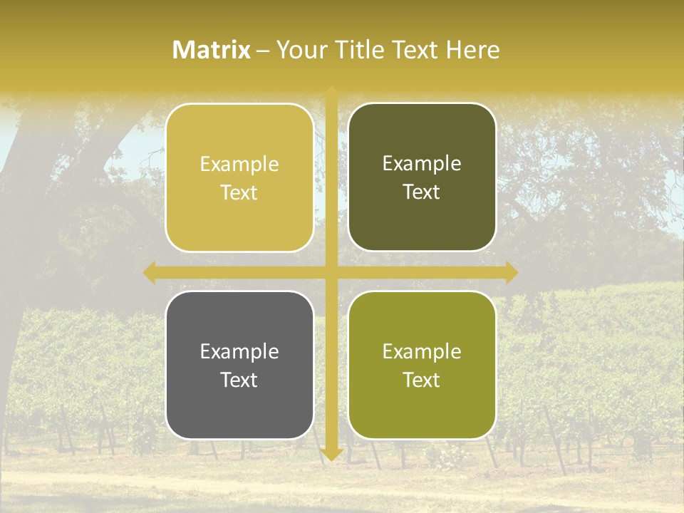 Agriculture Sunlight Wine PowerPoint Template