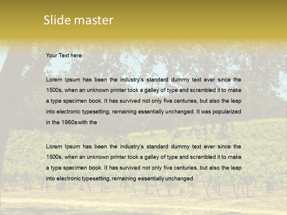 Agriculture Sunlight Wine PowerPoint Template