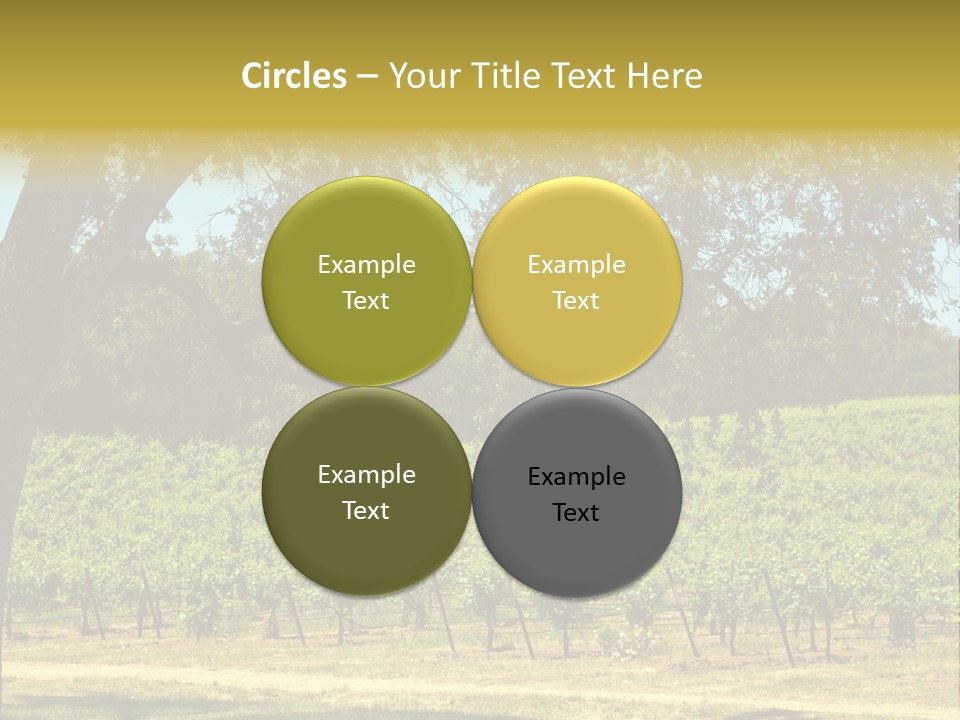 Agriculture Sunlight Wine PowerPoint Template