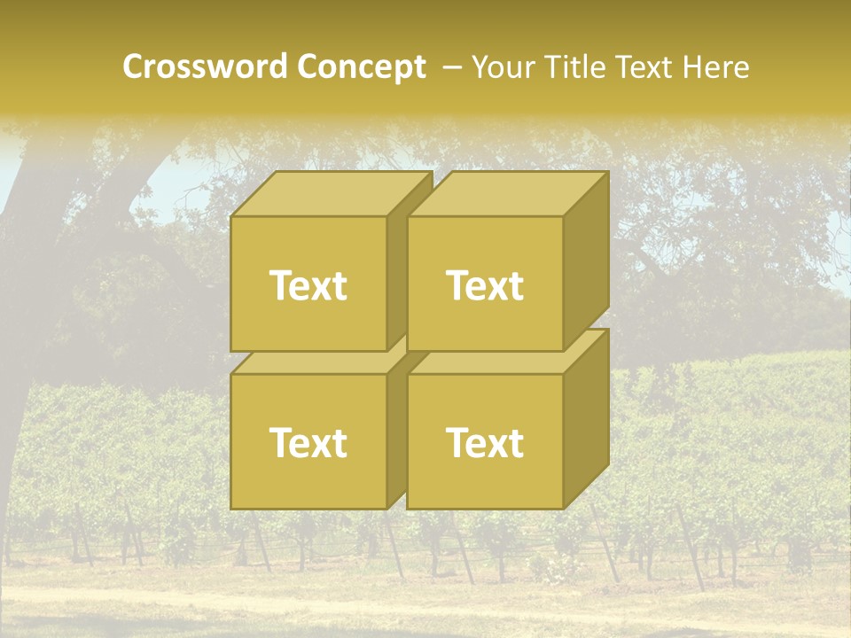 Agriculture Sunlight Wine PowerPoint Template