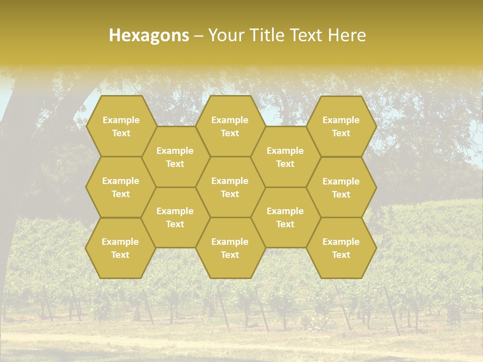 Agriculture Sunlight Wine PowerPoint Template