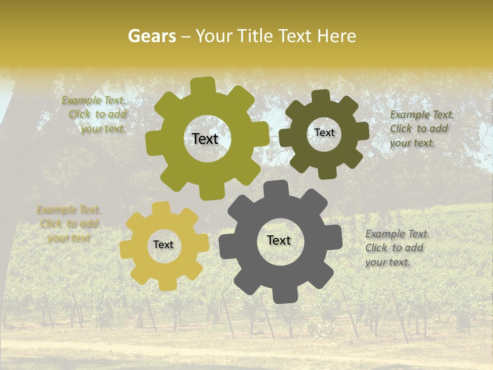 Agriculture Sunlight Wine PowerPoint Template