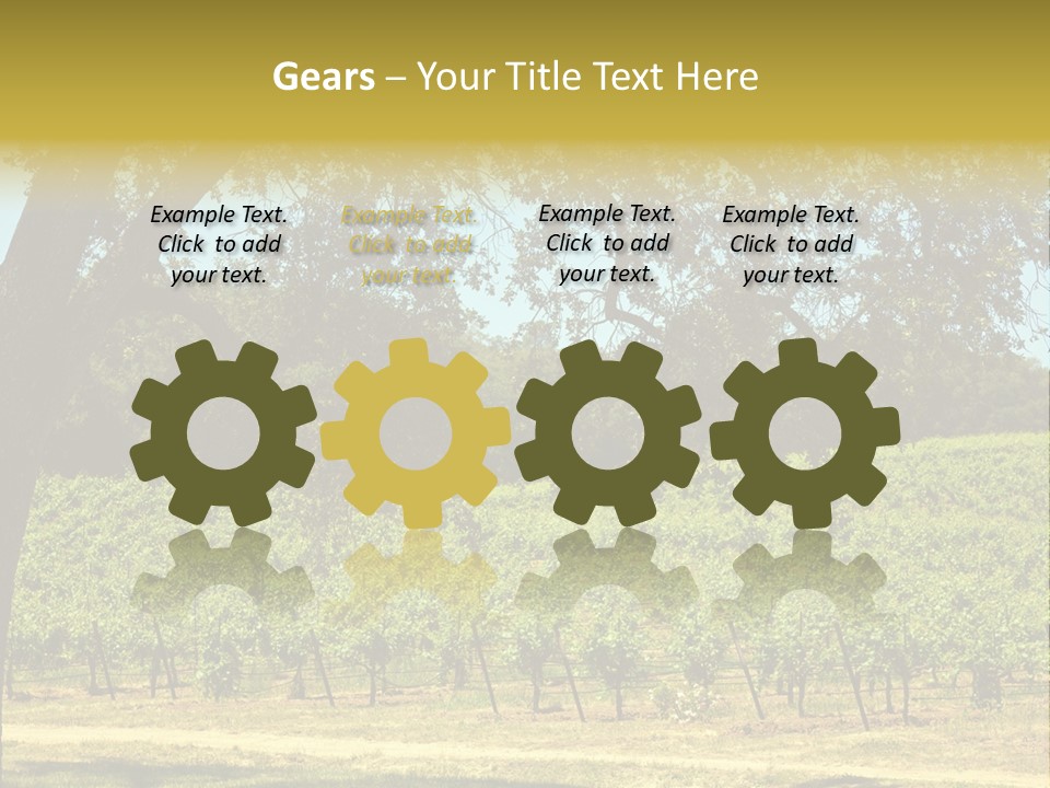 Agriculture Sunlight Wine PowerPoint Template