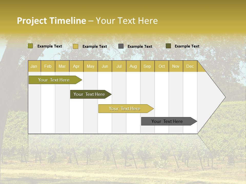 Agriculture Sunlight Wine PowerPoint Template