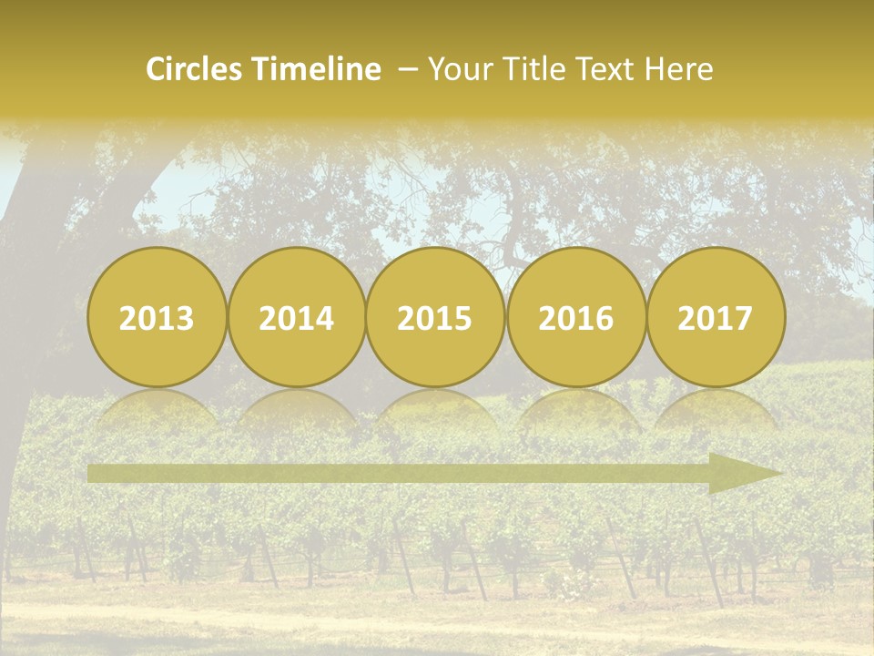 Agriculture Sunlight Wine PowerPoint Template