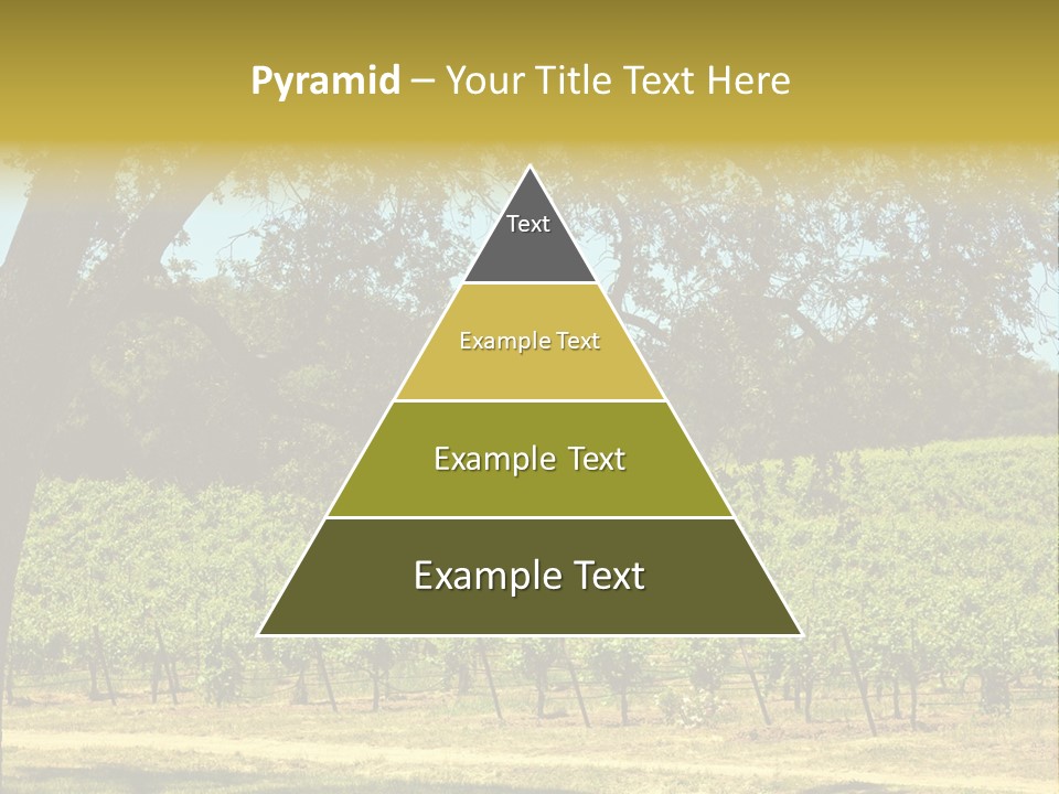 Agriculture Sunlight Wine PowerPoint Template