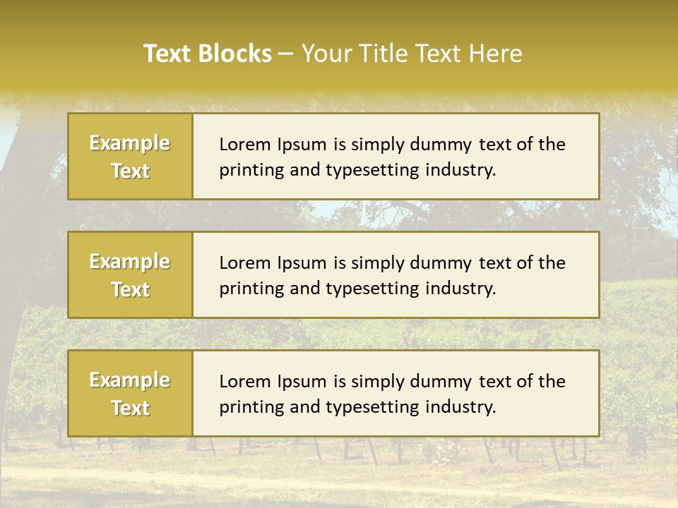 Agriculture Sunlight Wine PowerPoint Template