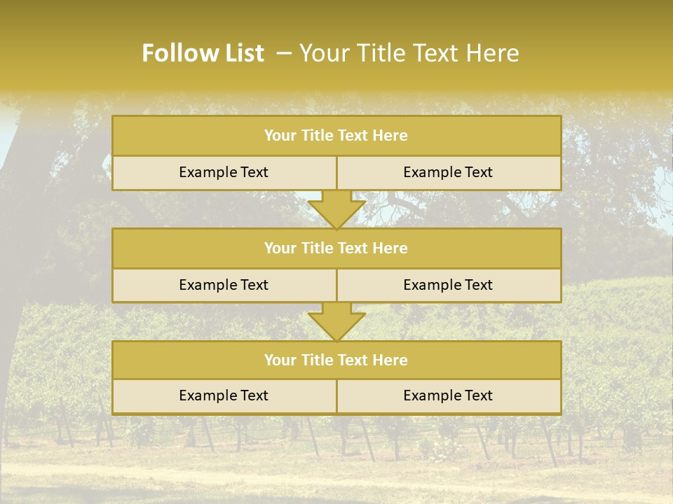 Agriculture Sunlight Wine PowerPoint Template