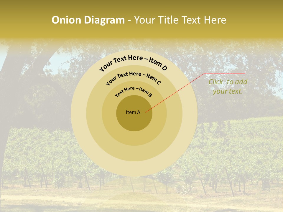Agriculture Sunlight Wine PowerPoint Template