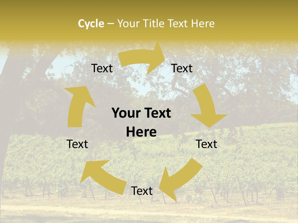 Agriculture Sunlight Wine PowerPoint Template